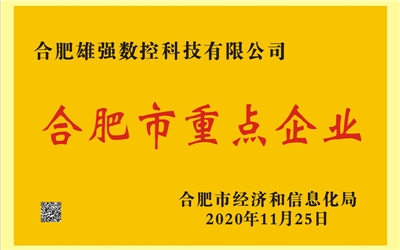 合肥市重點企業 